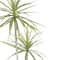 6ft. Yucca Faux Plant in Woven Basket by Ashland®